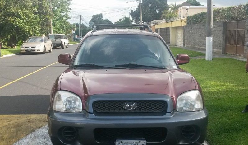 Usados: Hyundai Santa Fe 2004 full