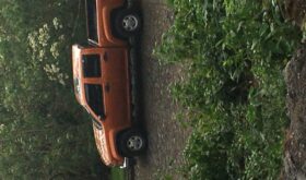 Usados: Chevrolet Silverado 2006 en Zona 7